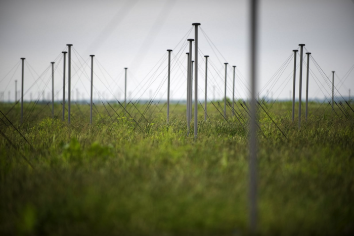 Eine grüne Wiese, auf der mehrere schlanke Metallpfähle stehen. Von deren Spitze ist ein feiner Draht in einem Dreieck auf den Boden gespannt.