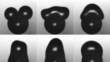 Sechs Schwarz-Weiß-Aufnahmen in zeitlicher Abfolge, wie zwei Tropfen mit einem Plastikkügelchen verschmelzen und dann davon weggeschleudert werden.