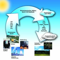 Infografik. Kreislauf von Spurengasen, dargestellt mit Pfeilen. Links Emission von Kohlenmonoxid, Methan, flüchtigen organischen Verbindungen, Stickoxid und Schwefeldioxid. Emission durch Verkehr, Waldrodung, Industrie und biogene Quellen. Pfeil nach oben. Dort photochemischer Abbau durch Hydroxyl-Radikale. Ferntransport durch Wind. Rechts Pfeil nach unten. Entstandene Substanzen: Kohlendioxid, Wasser, organische Säuren, Ozon, HNO3, H2SO4 und Aerosole. Auswaschen durch Niederschlag oder trockene Deposition.