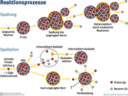 Das Schaubild zeigt die Funktionsweise der Spallation gegenüber der Kernspaltung. Bei der Kernspaltung werden jeweils nur wenige Neutronen frei, im Fall von Uran 235 drei. Bei der Spallation entsteht dagegen eine ganze Kaskade von Teilchen, unter anderem Pionen, Protonen und auch Neutronen. Am Beispiel von Blei ist gezeigt, dass durch Beschuss eines Atomkerns mit Protonen von etwa 1 Giga-Elektronenvolt Energie zunächst in einer intranuklearen Kaskade viele Teilchen entstehen, die dann weitere Kerne treffen und eine internukleare Kaskade auslösen. Zudem wird der ursprüngliche Atomkern hoch angeregt und setzt durch sogenannte Verdampfung weitere Elementarteilchen frei.