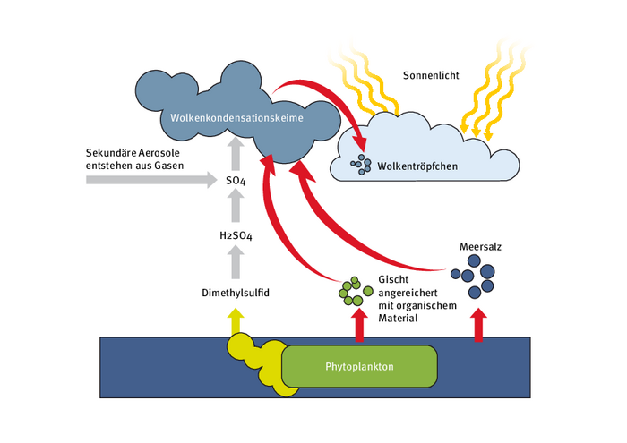 Grafik zeigt, wie aus Meer kleine Teilchen und Gase in die Atmosphäre gelangen und dort Wolken entstehen, die Sonnenlicht reflektieren.