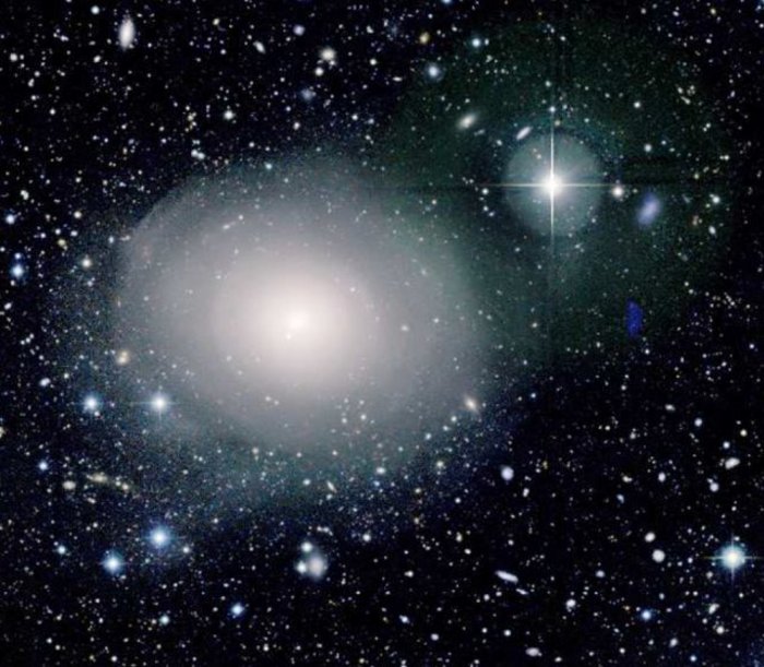 Elliptische Galaxie NGC 5557