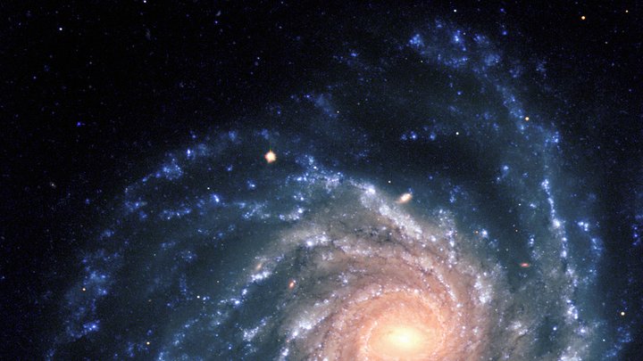 Die Spiralgalaxie NGC 1232