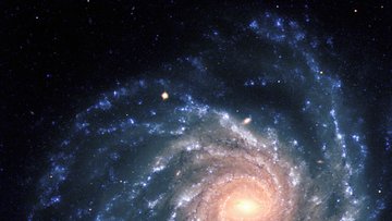 Die Spiralgalaxie NGC 1232