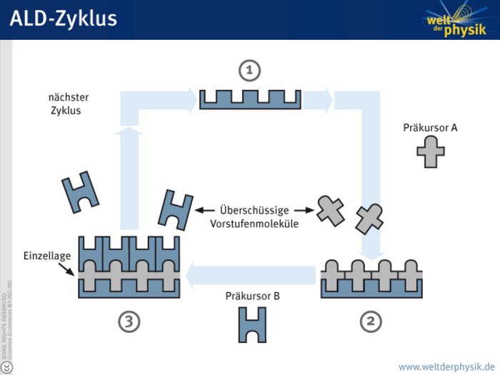 Illustration des ALD-Prinzips Schematische Darstellung, im ersten Schritt ist eine Struktur mit gleichmäßigen Vertiefungen zu sehen. Im zweiten Schritt setzen sich die Präkursor-A-Moleküle in die Vertiefugen und bilden so eine zweite Schicht über der ursprünglichen Struktur. Im dritten Schritt setzen sich darauf wieder Präkursor-B-Moleküle. Die so gebildete Schicht aus Präkursor A und B kann sich dann abscheiden und der Zyklus beginnt erneut.