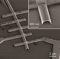 Mikroskopbild, auf dem sich der verästelte Draht über eine glatte Oberfläche erhebt.