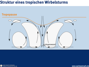 Infografik. Ein Wolkenwirbel über dem Meer, im Querschnitt. Pfeile über der Meeresoberfläche zum Zentrum hin. Ein Pfeil an der Wolkenoberkante aus dem Zentrum heraus. Das Zentrum: ein senkrecht stehender Schlauch.