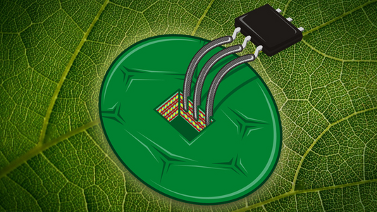 Gezeichnete Illustration: Mikrochip-Komponenten sind mit dem Inneren eines aufgeschnittenen Pflanzenblattes verbunden.
