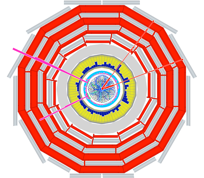 Simulation: Higgs-Zerfall am CMS Computergrafik: Im Querschnitt des CMS-Detektors sind deutlich vier rote Spuren zu erkennen.