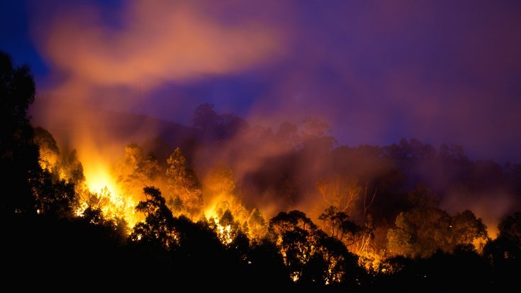 Buschbrand in Australien | Bildquelle: dm2912/iStock
