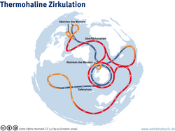 Infografik. Weltkugel mit einer Ozeanzirkulation, die durch verzweigte Linien dargestellt ist. Im nördlichen Nordatlantik und bei der Antarktis zwei Markierungen mit der Beschriftung, dass dort das Wasser absinkt.