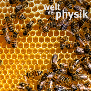 Folge 384 – Komplexität und Chaos