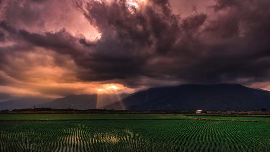 Das Bild zeigt Reisfelder, Hügel und Regenwolken.