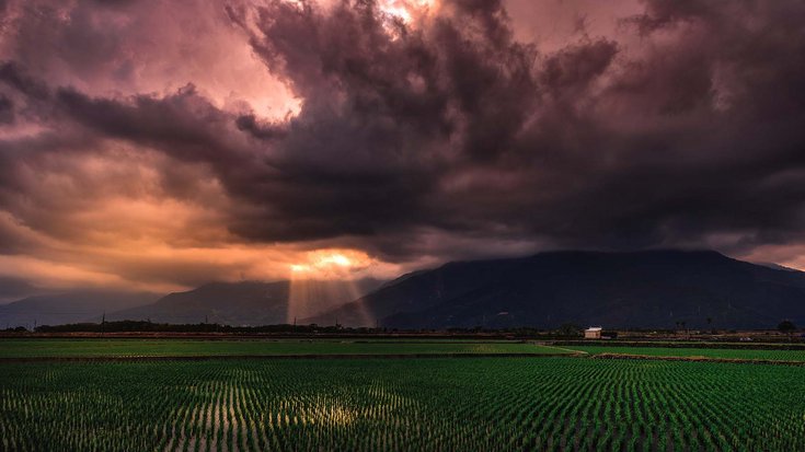 Das Bild zeigt Reisfelder, Hügel und Regenwolken.