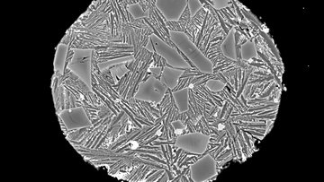 Mikroskopaufnahme eines Meteoriten zeigt einen Kreis, in den verschiedene längliche Bestandteile eingeschlossen sind. Einige davon sind geriffelt, andere glatt.
