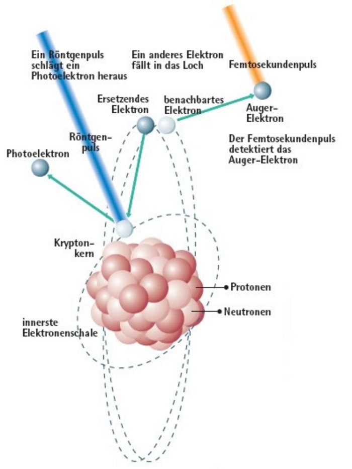 Schema eines Atoms, Elektronen kreisen um den Kern, durch den Röntgenpuls wird eines der Elektronen nahe des Atomkerns aus seiner Bahn geschleudert, ein anderes Elektron von einer äußeren Bahn nimmt dessen Stelle ein. Durch die dabei freigesetzte Energie wird ein benachbartes Elektron aus der äußeren Bahn geschleudert. Dieses sogenannte Auger-Elektron wird vom Strahl des Femtosekundenlasers detektiert.