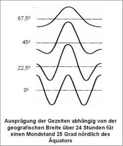 Infografik. Vier Wellenformen, die nach dem Breitengrad geordnet sind. Die Wellenformen symbolisieren Flut und Ebbe. Ganz oben nur einmal Übergang von Ebbe zu Flut und zurück, ganz unten, am Äquator, die Abfolge Flut-Ebbe-Flut-Ebbe-Flut.