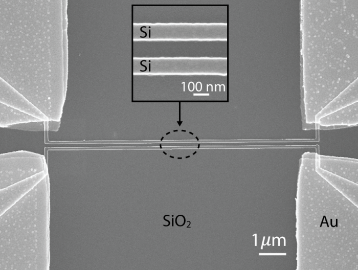 Prototyp des neuen Lichtsensors Stark vergrößerte Aufnahme der beiden Siliziumdrähte, die parallel zueinander verlaufen.