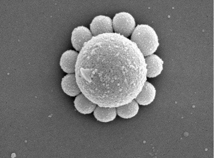 Blume aus Nanopartikeln