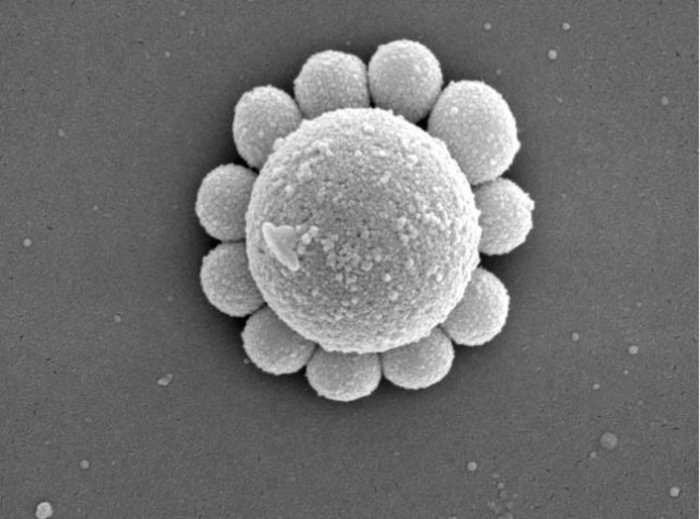 Blume aus Nanopartikeln Blume aus Nanopartikeln