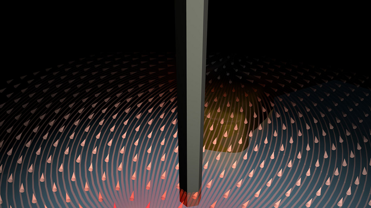 Ein Nanodrahtsensor kann sowohl die Grösse als auch Richtung von Kräften messen