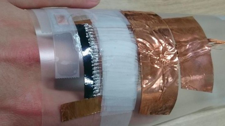 Prototyp eines flexiblen Terahertzscanners aus Kohlenstoffnanoröhrchen.