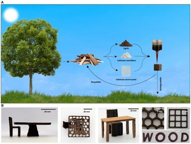 Zeichnung von einem Baum und Holz, das in einem Kreislauf skizziert ist: Zunächst Lignin, Zellulose-Nanofasern und Zellulose-Nanokristalle zu gedruckter Holzstruktur. Pfeile gen Boden mit Titel "biologisch abbaubar" und zurück zum Holz, beschriftet mit "recyclebar". Darunter Bilder von braunen Stühlen, Waben, Tischen und dem Schriftzug Wood