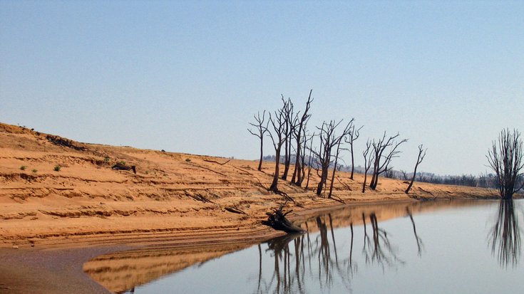 Foto. Kahle Bäume an dem Ufer eines Sees. Der See hat einen niedrigen Wasserstand. Das ist an Ablagerungen am Ufer zu erkennen. Der Himmel ist wolkenlos. 