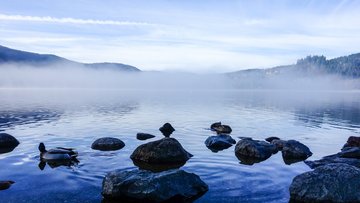 Das Foto zeigt den Titisee im Nebel mit Steinen im Vordergrund.