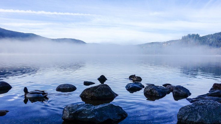 Das Foto zeigt den Titisee im Nebel mit Steinen im Vordergrund.