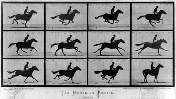 Einzelne Fotos zeigen den Galopp eines Pferdes mit zeitlicher Auflösung von etwa einer hundertstel Sekunden. Es zeigt sich, dass das Pferd zwischendurch den Boden nicht berührt.