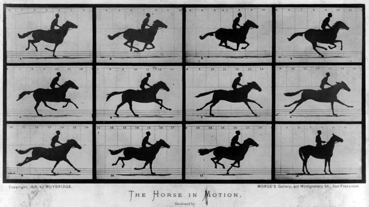 Einzelne Fotos zeigen den Galopp eines Pferdes mit zeitlicher Auflösung von etwa einer hundertstel Sekunden. Es zeigt sich, dass das Pferd zwischendurch den Boden nicht berührt.