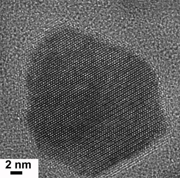 Mikroskopaufnahme in schwarz-weiß, in der Mitte ist eine abgegrenzte, runde Struktur zu sehen, die von feineren Strukturen umgeben ist.
