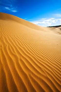 Das Foto zeigt eine Sanddüne. Ihr Hang ist von kleinen Wellen bedeckt, den Rippeln.