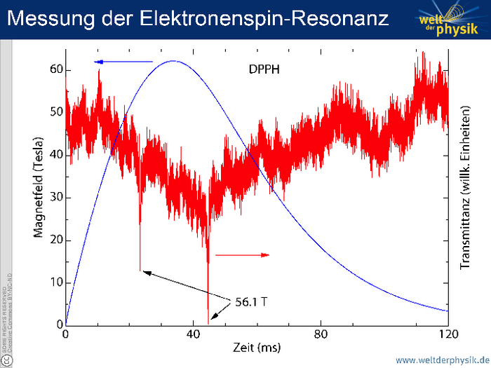 Messung der Elektronenspin-Resonanz Messkurve, Magnetfeld aufgetragen gegen Zeit. Der zeitliche Magnetfeldverlauf zeigt eine Welle mit ihrem Berg bei etwa 35 Millisekunden und über 60 Tesla. Nach rechts fällt der Puls flacher ab als er ansteigt. Eine verrauschte Messkurve zeigt den Anteil von transmittiertem Licht. Bei 40 Millisekunden fällt er gegenüber dem Wert vor und nach dem Puls um etwa die Hälfte. Bei 22 und 45 Millisekunden treten außerdem scharfe Absorptionskanten auf, die mit einer Magnetfeldstärke von 56,1 Tesla korrespondieren.