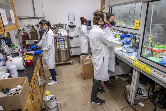 Im Labor Vier Wissenschaftler in Kitteln und mit besonderen Schutzmasken ausgestattet, arbeiten in einem Labor