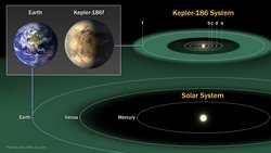 Darstellung der Umlaufbahnen der fünf Planeten von Kepler-186 (oben) und der Planeten Merkur, Venus und Erde (unten), in beiden Fällen ist die lebensfreundliche Zone hell markiert. Die Bahn von Kepler 186-f liegt nahe am äußeren Rand der lebensfreundlichen Zone, die Bahn der Erde mittendrin. Links als Kasten ein Größenvergleich zwischen der Erde und Kepler-186-f, letzterer ist geringfügig größer.