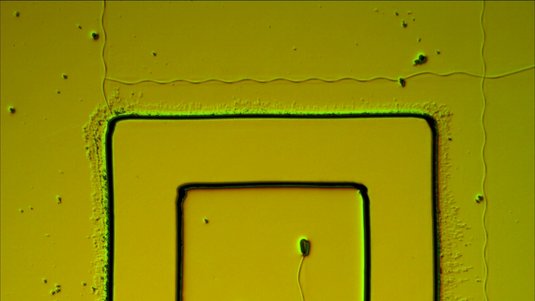 Risse in Nanostruktur