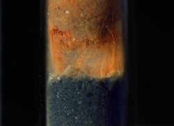Feine Linien in Sedimentproben zeigen die Bakterienfäden.