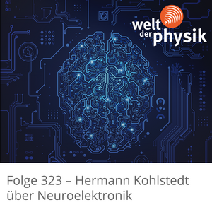 Folge 323 – Neuroelektronik