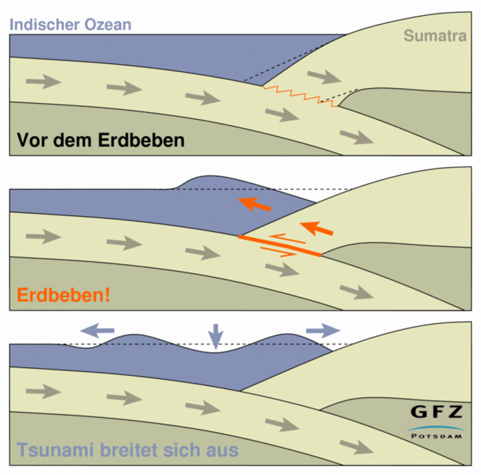 Wie ein Seebeben an einer Subduktionszone einen Tsunami auslöst Infografik. Drei Schnitte durch die Erdkruste. Unter dem Indischen Ozean schiebt sich eine Erdplatte von links nach rechts unter die andere, die mit "Sumatra" beschriftet ist. Oben: Spannung baut sich auf. Mitte: Die Kontaktstelle bewegt sich nach oben und das Meer wirft eine Welle. Unten: Wellen auf dem Indischen Ozean.