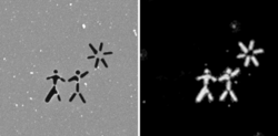 Bild von zwei Strichmännchen und einer Sonne in der Testprobe. Im Streubild sind die gleichen Figuren in hell vor dunklem Hintergrund zu sehen.  