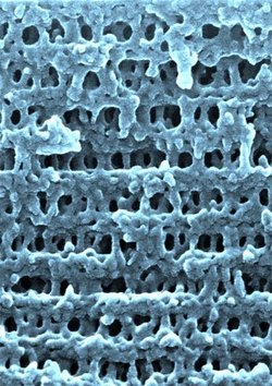 Nanoporöses Material