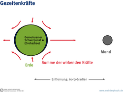 Infografik. Rechts klein der Mond, links die Erde. Pfeile markieren Richtung und Stärke der Gezeitenkräfte. Auf der dem Mond zugewandten Seite der Erde weisen die Pfeile zum Mond hin, auf der anderen Seite in die entgegengesetzte Richtung.