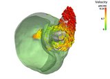 3D-Darstellung eines rundlichen Körperteils des Käfers, aus dem ein Hüftgelenk ragt. Die Bewegungsgeschwindigkeit des Gelenks ist rundherum mit vielen, kleinen Pfeilen markiert.