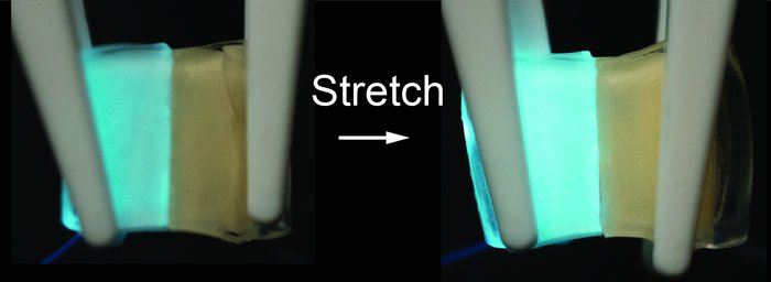 Prototyp eines leuchtenden Gummimaterials