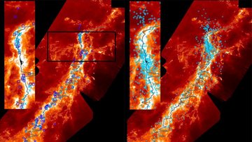 Filament Orion A