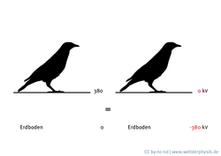 Ein Vogel sitzt auf einer Hochspannungsleitung. Dieses Bild ist zwei Mal identisch nebeneinander angeordnet, der Unterschied ist, dass man die elektrische Spannung einmal auf der Leitung und einmal auf dem Erdboden auf Null gesetzt hat.