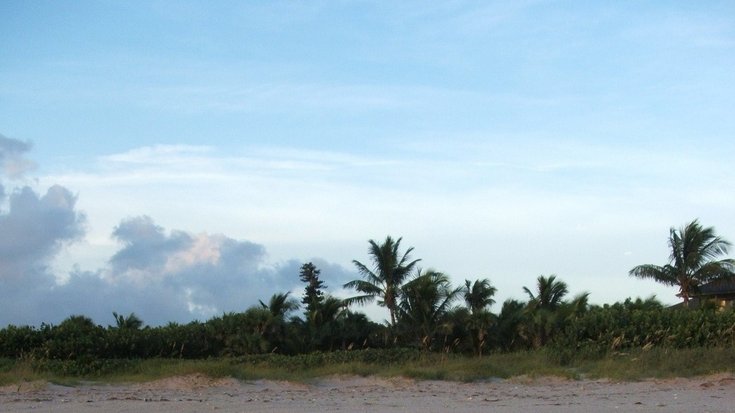 Sandstrand mit Palmenhintergrund. Vorne rechts ist eine Abbruchkante im Sand zu sehen.