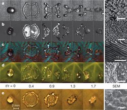 Zu sehen sind fünf Reihen mit jeweils fünf Draufansichten eines Tropfens, der auf verschiedene Oberflächen fällt, sowie je ein Rasterelektronenmikroskopbild. In den ersten vier Reihen wird der Tropfen an einer rillenartigen Struktur der Oberfläche gespalten, sodass am Ende zwei kleinere Tropfen vorliegen. 